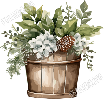 圣誕節(jié)綠植盆栽水彩風插畫