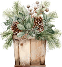 圣诞节绿植盆栽插图
