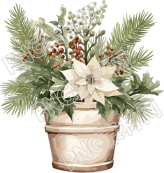 圣誕節(jié)綠植盆栽插畫