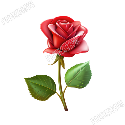 3D玫瑰花插畫(huà)設(shè)計(jì)元素