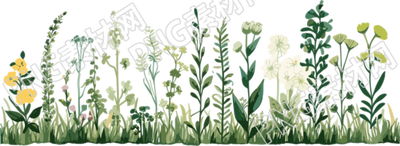 植物花邊高清圖形素材