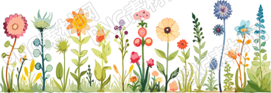 植物花边简洁插图