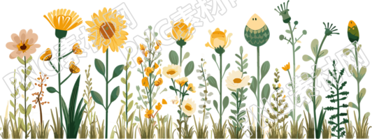 植物花边商用插画素材