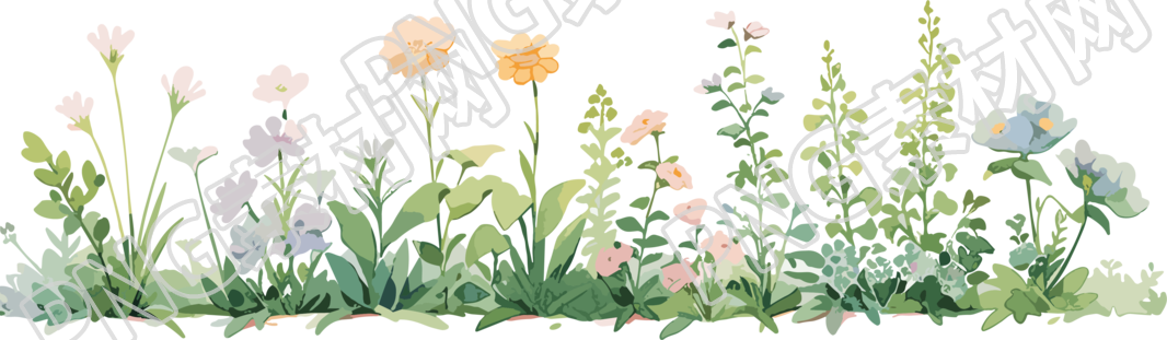 植物花边白底素材