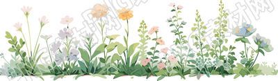 植物花邊白底素材