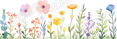 植物花邊插畫設計素材