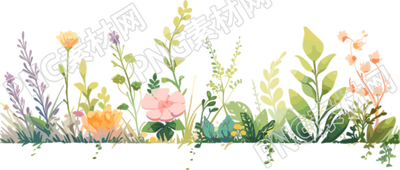 植物花邊圖案素材