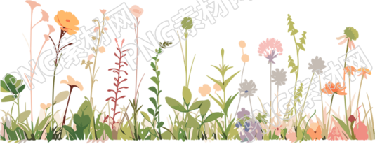 植物花边高清质量插图