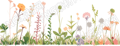 植物花邊高清質(zhì)量插圖