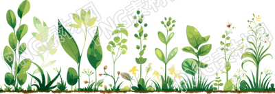 植物花邊創(chuàng)意設(shè)計(jì)素材