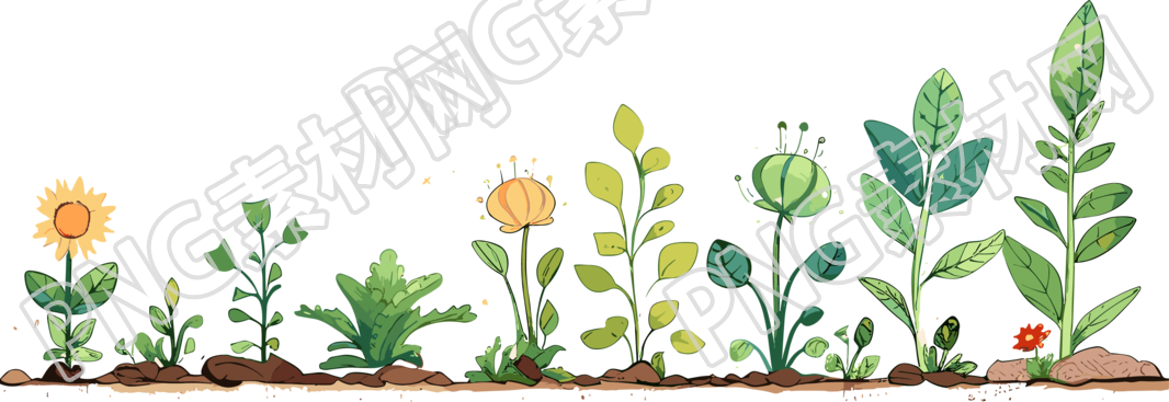 植物花边插画设计元素