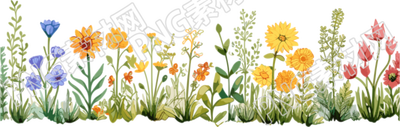 植物花邊卡通插畫圖案素材
