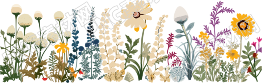 植物花边白色背景素材