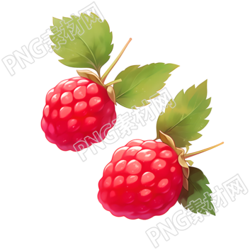 樹莓插畫設計素材