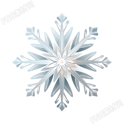 雪花矢量藝術(shù)插圖