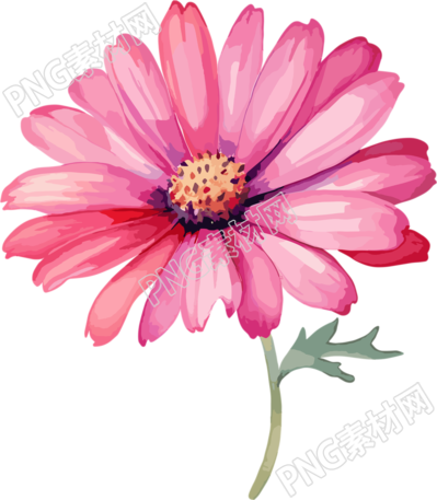 水彩花卉高清PNG圖標(biāo)元素