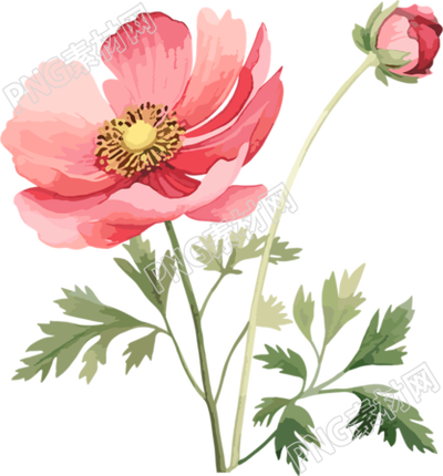 水彩花卉商業(yè)設(shè)計(jì)元素