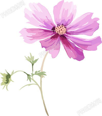 水彩花卉創(chuàng)意設(shè)計(jì)插畫