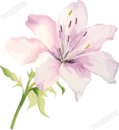 水彩花卉設(shè)計元素插畫
