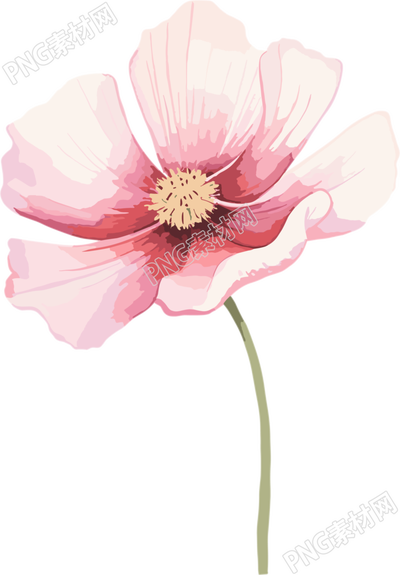 水彩花卉高清透明背景插畫