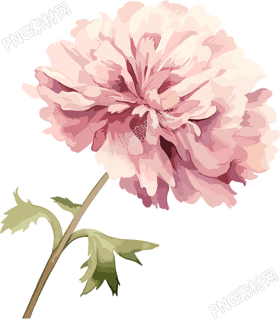水彩花卉商業(yè)設(shè)計元素