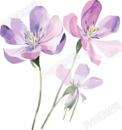 水彩花卉PNG圖形素材