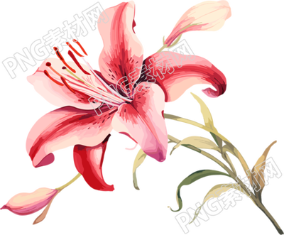 水彩花卉高清插圖素材