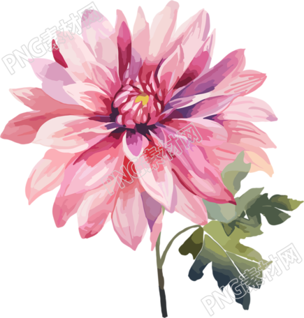 水彩花卉创意设计元素