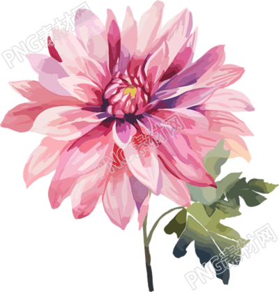 水彩花卉創(chuàng)意設(shè)計元素