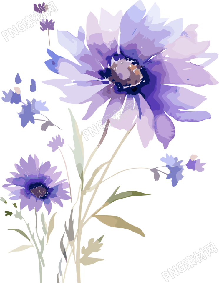 水彩花卉PNG图形素材