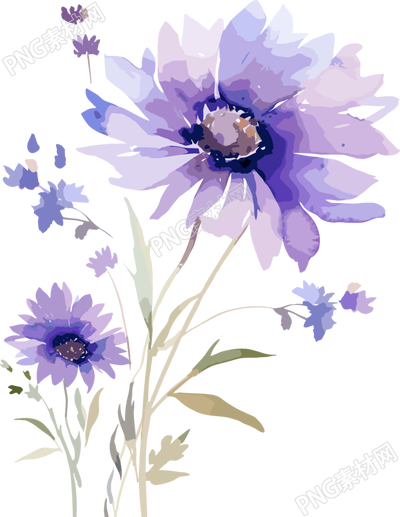 水彩花卉PNG圖形素材