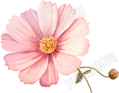 水彩花卉插圖設(shè)計元素