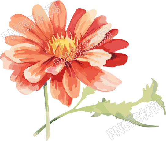 水彩花卉可商用创意设计插画