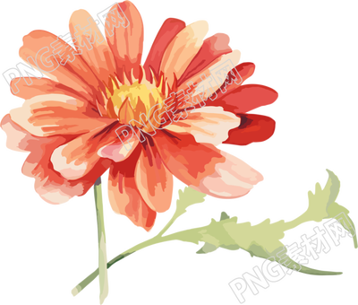 水彩花卉可商用創(chuàng)意設(shè)計插畫