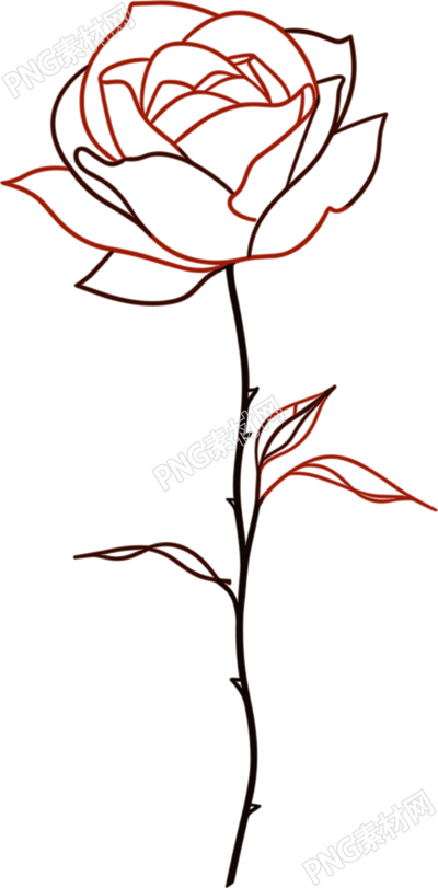 線條玫瑰花商業(yè)插圖