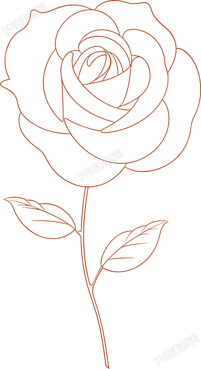 線條玫瑰花高清透明背景素材