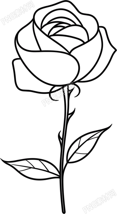 線條玫瑰花簡(jiǎn)約設(shè)計(jì)元素