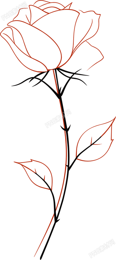 線條玫瑰花透明背景素材