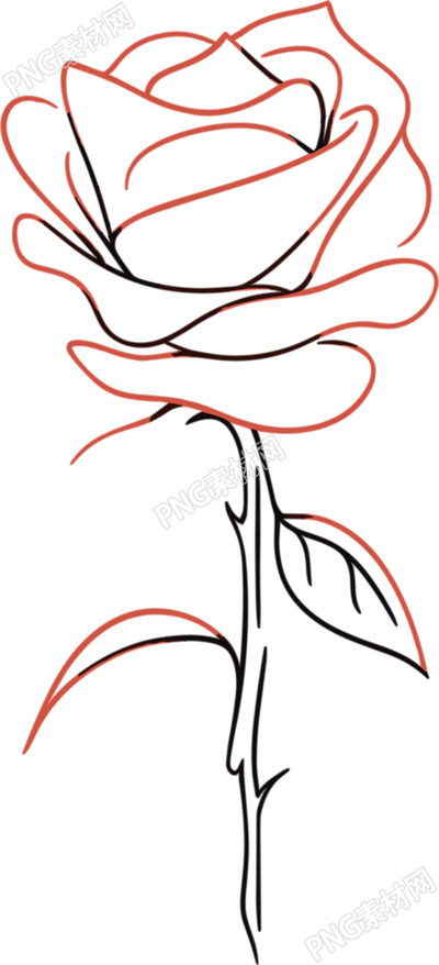 線條玫瑰花插圖