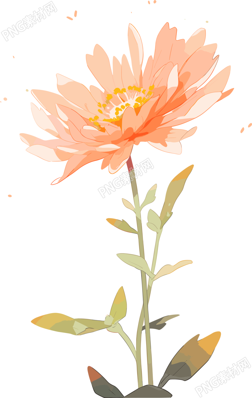 线条花朵图形素材
