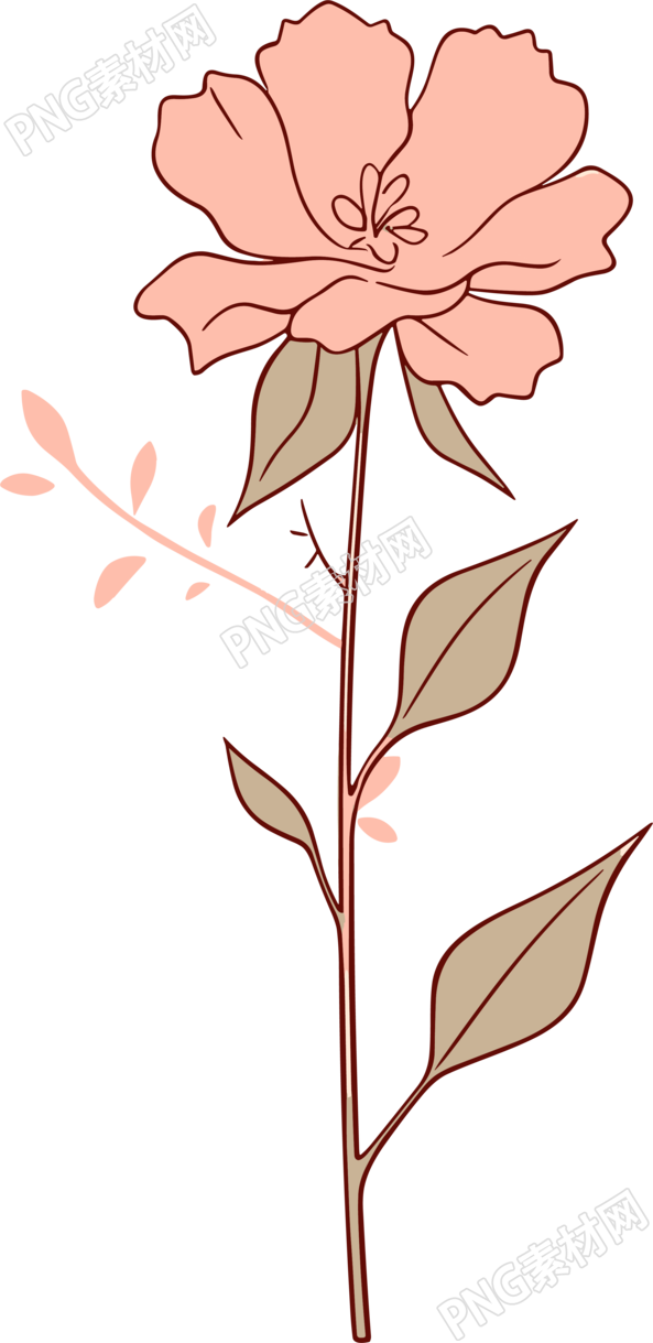 线条花朵透明背景PNG元素