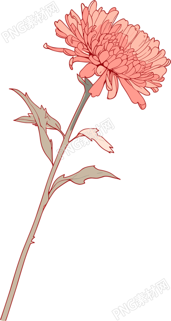 线条花朵高清素材