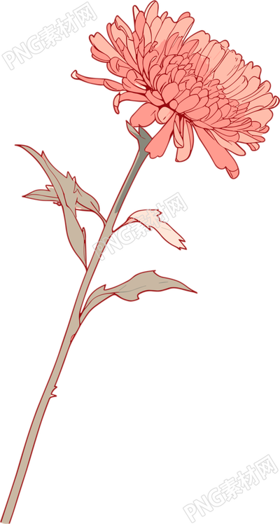 線條花朵高清素材
