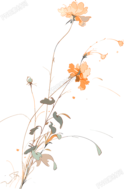 線條花朵透明背景素材
