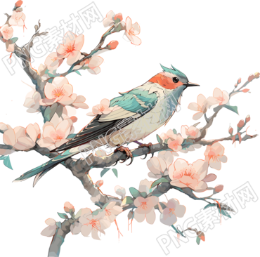 中国画花鸟PNG透明背景插图
