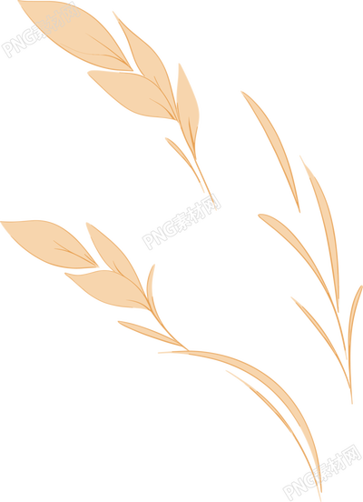 小麥簡(jiǎn)約插圖設(shè)計(jì)素材