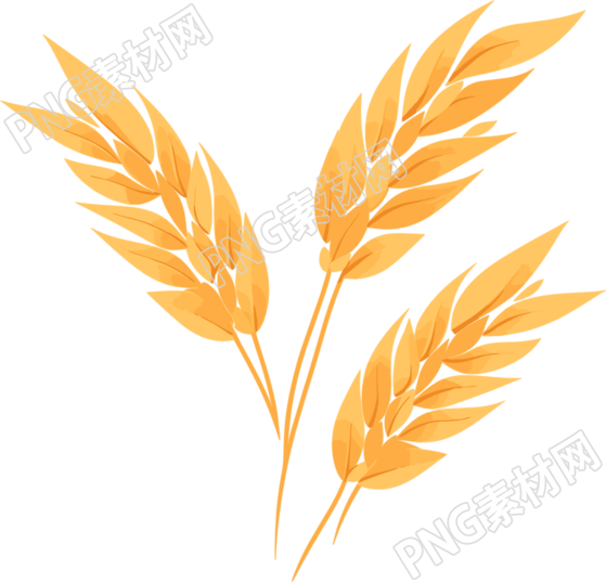 小麦PNG图形素材