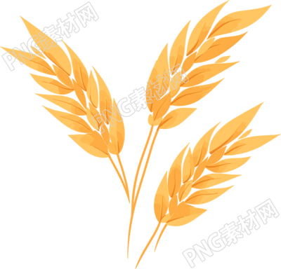 小麥PNG圖形素材