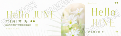 六月你好鲜花简约公众号封面图