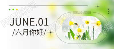 六月你好雨中花卉微信公众号首图